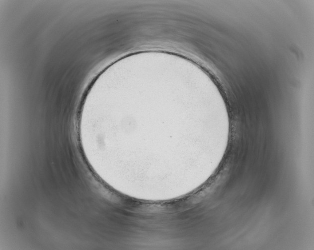 X0000110671517200907241011