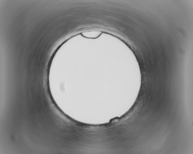 X0000110671518200907241011