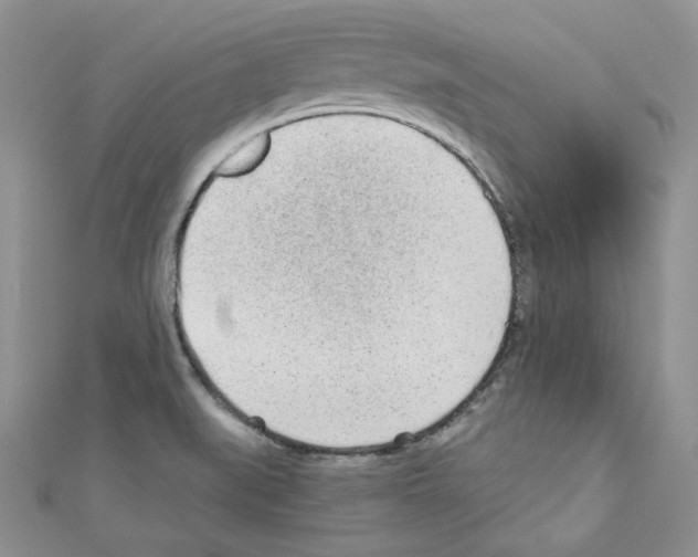 X0000110671519200907241011