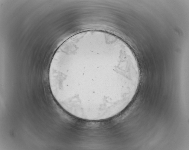 X0000110671521200907241012