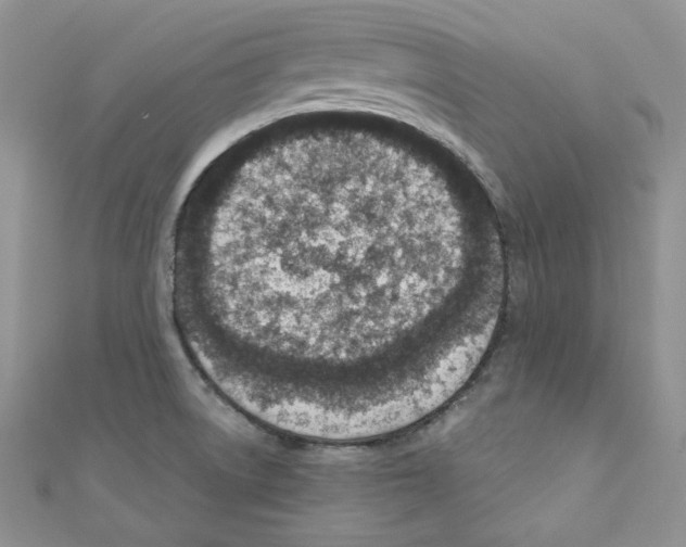 X0000110671522200907241012