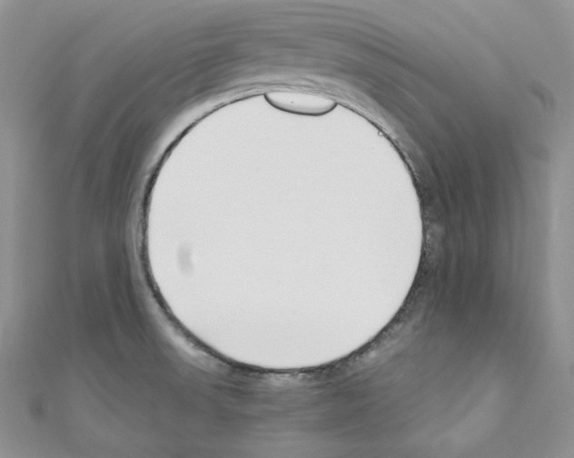 X0000110671523200907241012