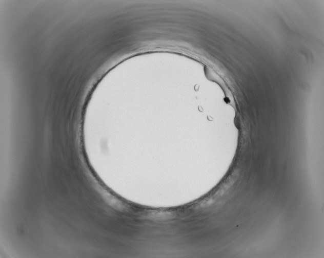 X0000110671525200907241012