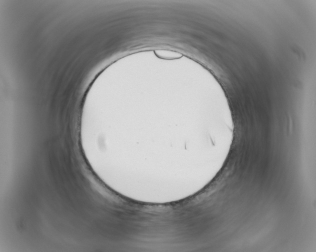 X0000110671526200907241012
