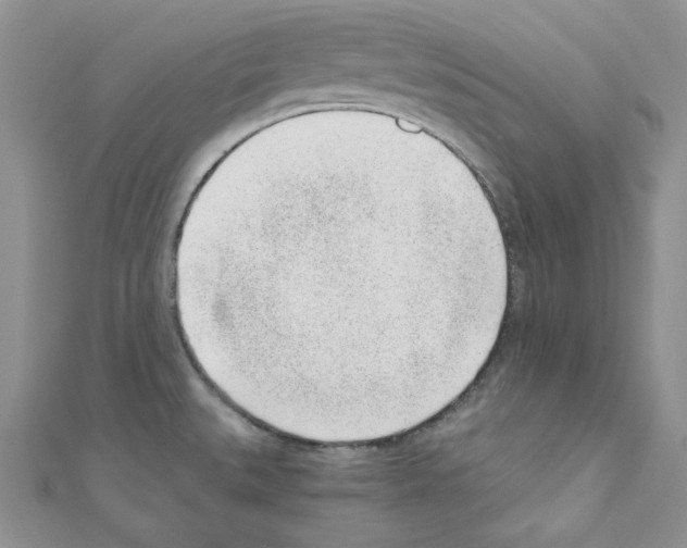X0000110671527200907241012