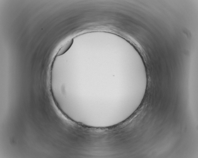 X0000110671528200907241012