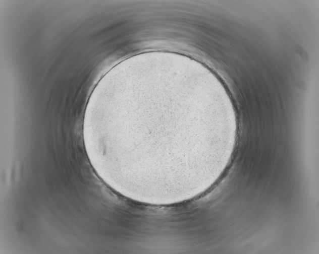 X0000110671529200907241012