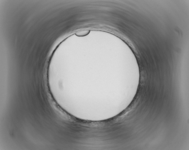 X0000110671530200907241012