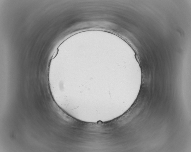 X0000110671532200907241012