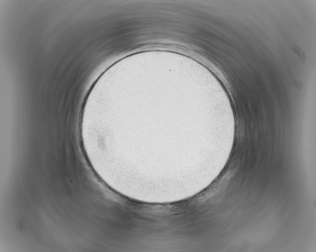 X0000110671533200907241012