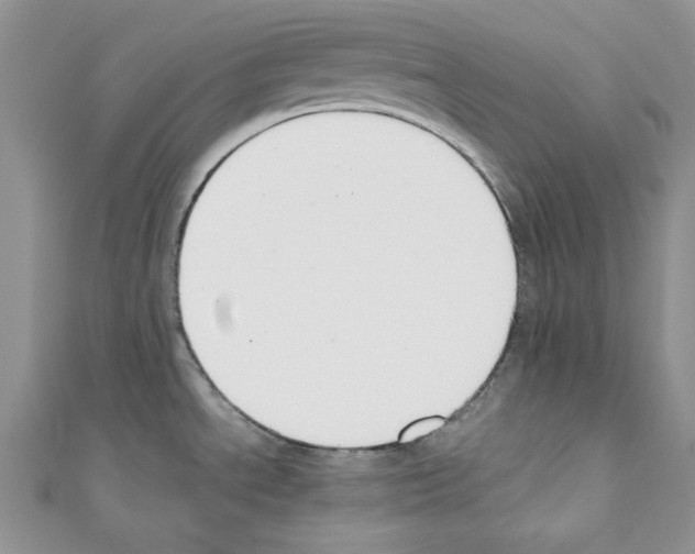 X0000110671534200907241012