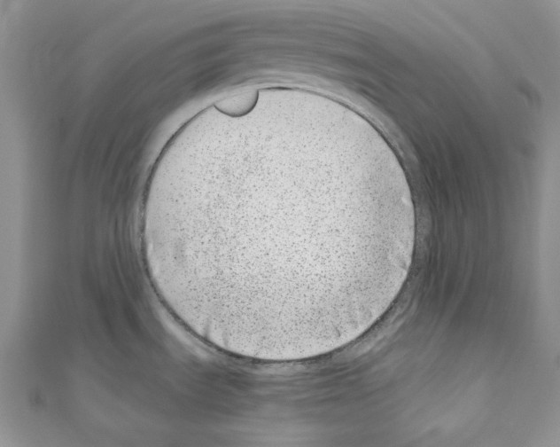 X0000110671535200907241012