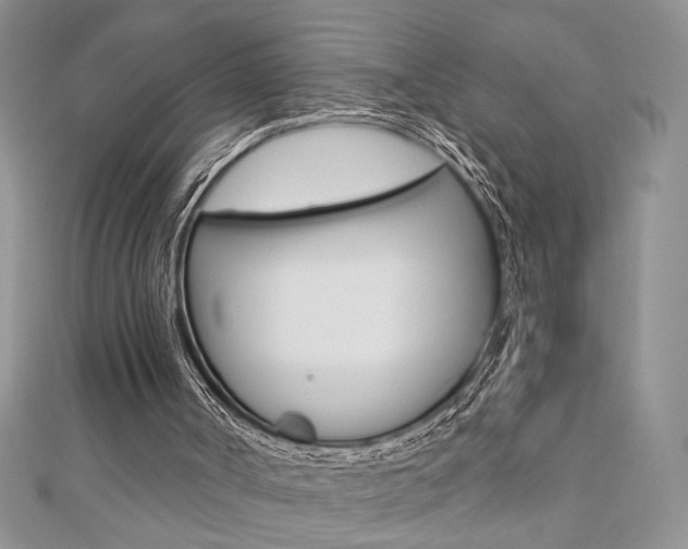 X0000110680002200906121044