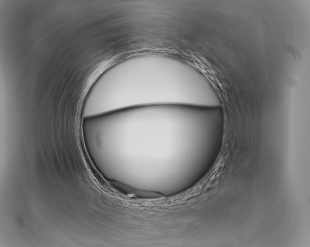 X0000110680003200906121044