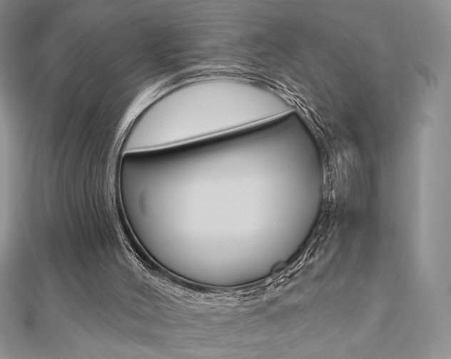 X0000110680004200906121044