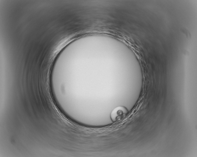 X0000110680005200906121044