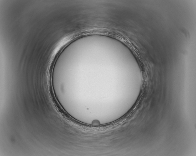 X0000110680006200906121044