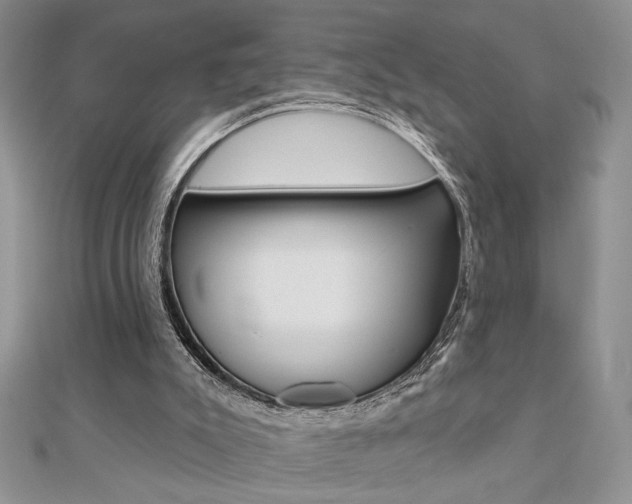 X0000110680007200906121044