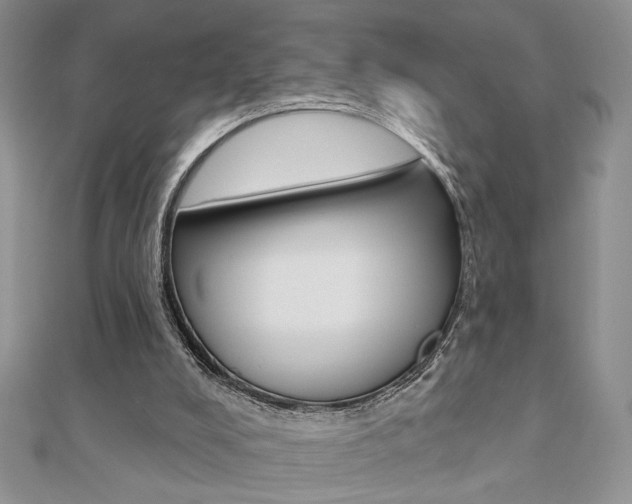 X0000110680008200906121044