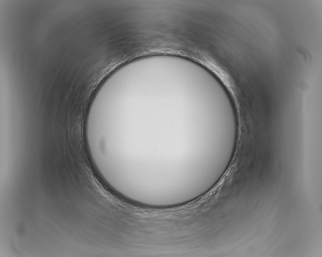 X0000110680009200906121044