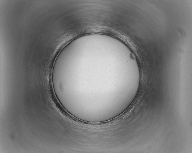 X0000110680010200906121044