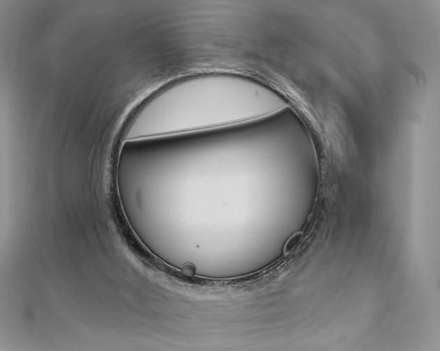 X0000110680012200906121044