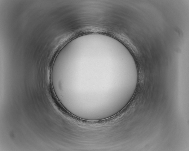X0000110680014200906121044