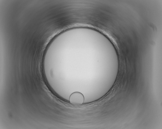X0000110680015200906121044