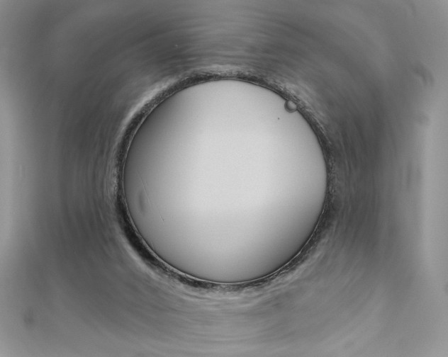 X0000110680016200906121044