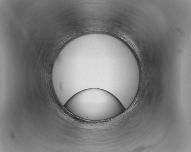 X0000110680017200906121044