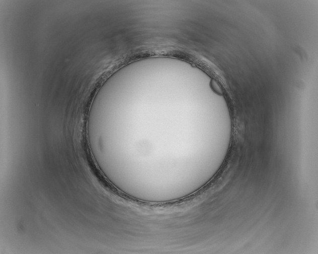 X0000110680018200906121044
