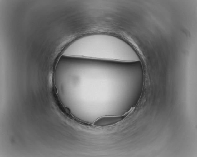 X0000110680019200906121044