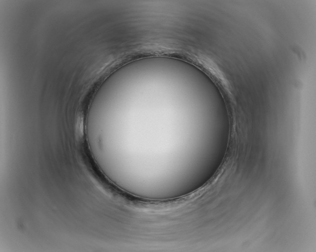 X0000110680021200906121044