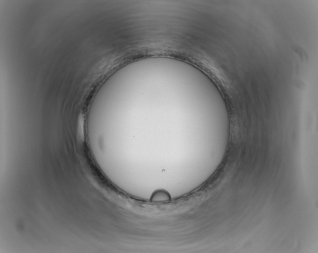X0000110680022200906121044