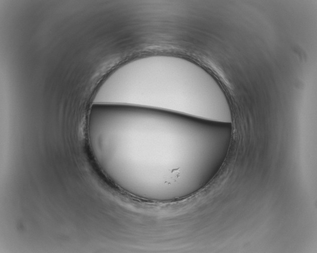 X0000110680023200906121044