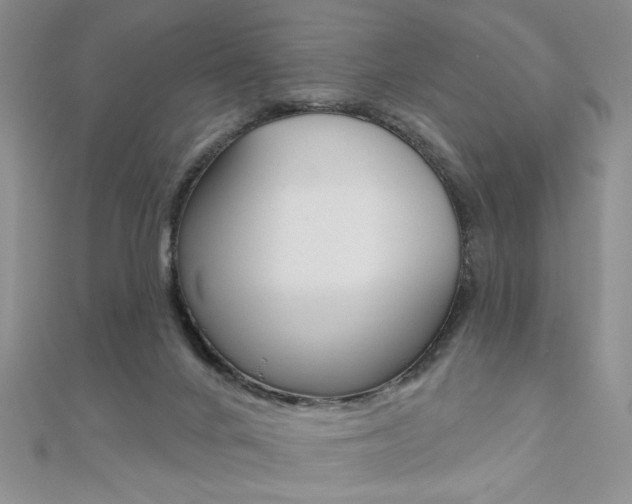 X0000110680024200906121044