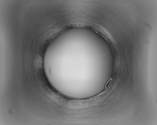 X0000110680025200906121044
