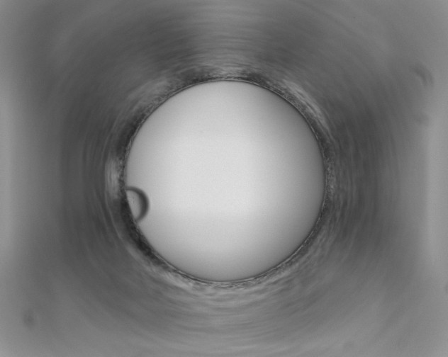 X0000110680026200906121044