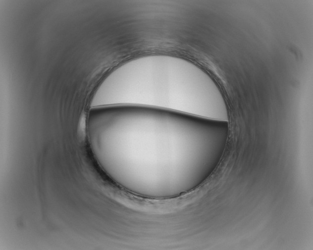 X0000110680027200906121044