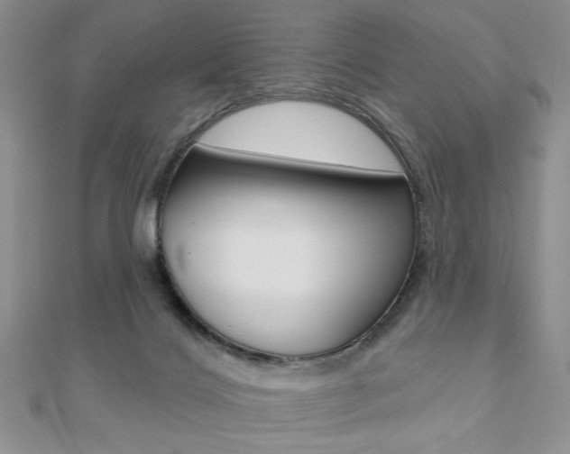 X0000110680028200906121044