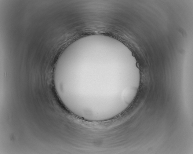 X0000110680030200906121044