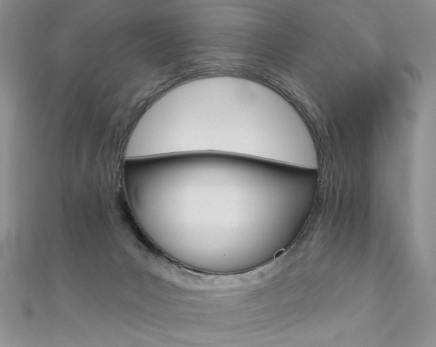 X0000110680031200906121044