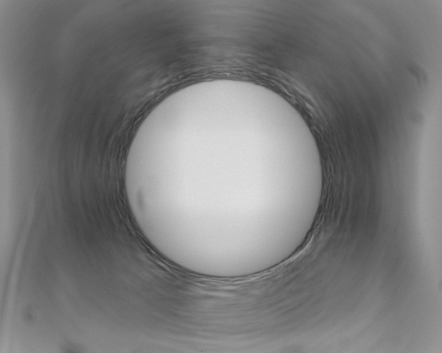 X0000110680033200906121044