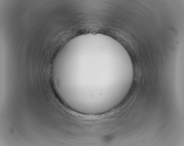 X0000110680034200906121044
