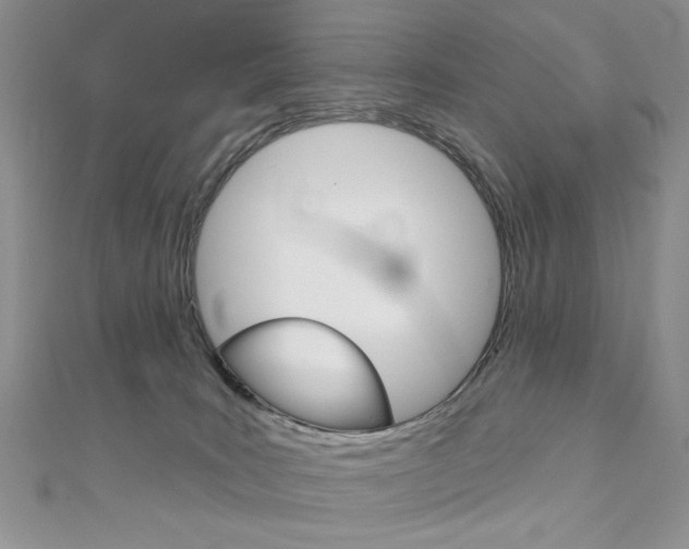 X0000110680035200906121044