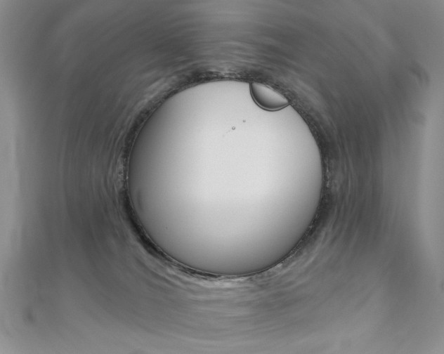 X0000110680036200906121044