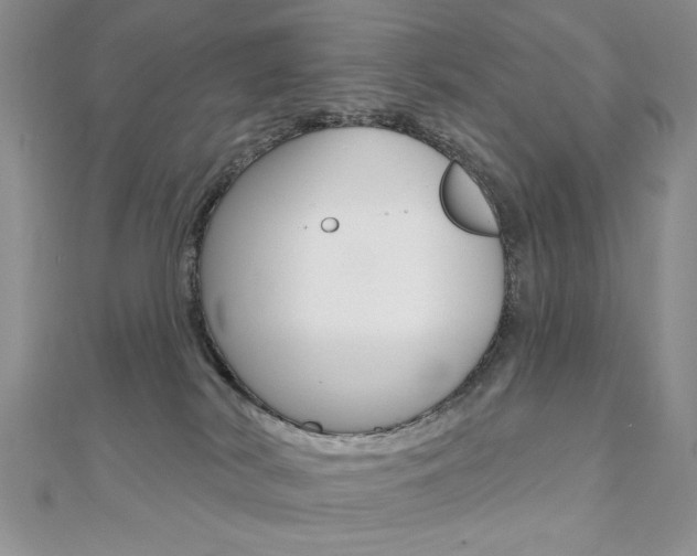 X0000110680038200906121044