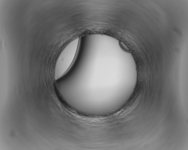 X0000110680040200906121044