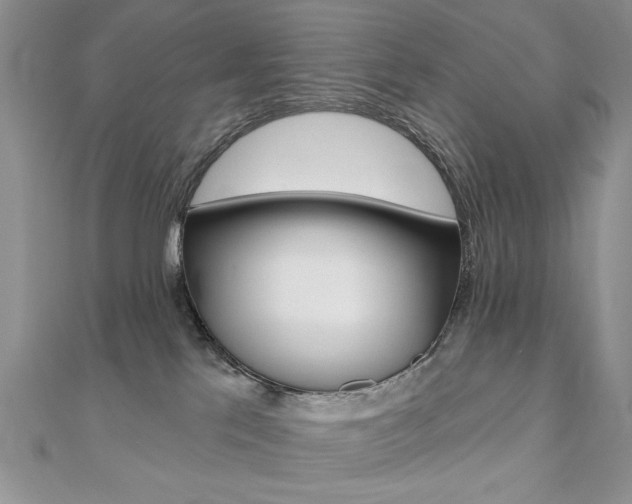 X0000110680041200906121044