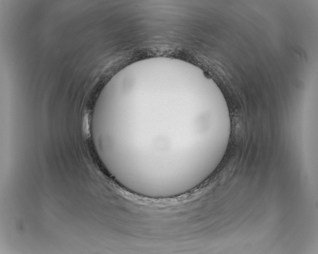 X0000110680042200906121044